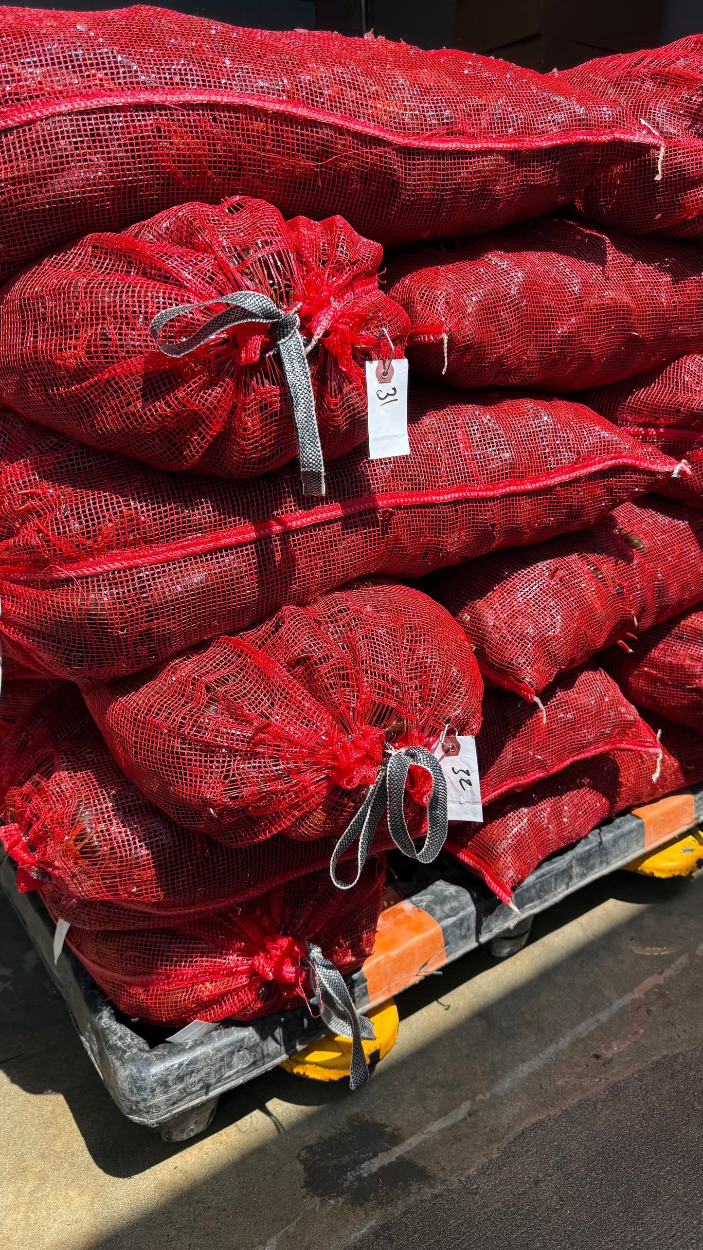 Live Crawfish (Houston Reservation)