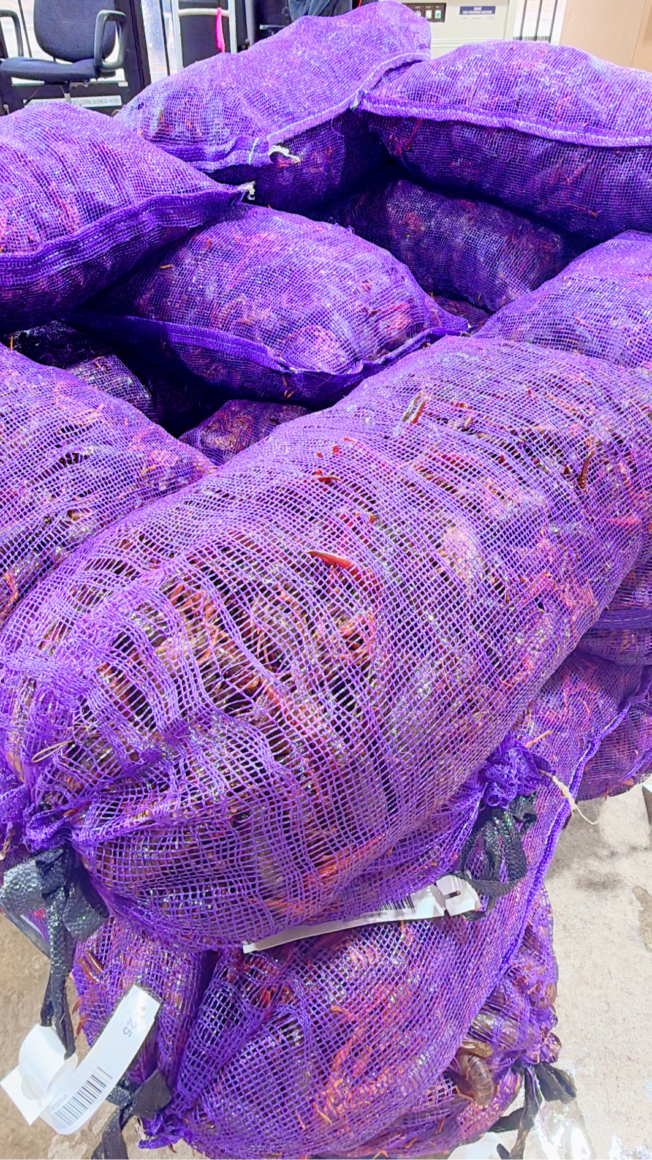 Live Crawfish (Houston Reservation)