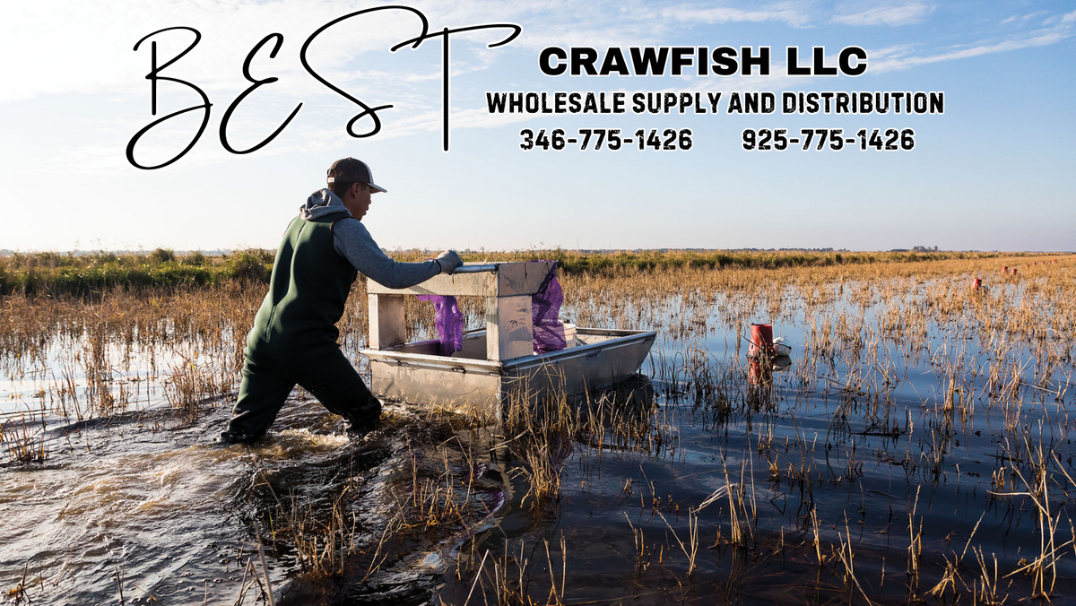 BEST CRAWFISH LLC WHOLESALE & RETAIL SEAFOOD – bestcrawfishllc